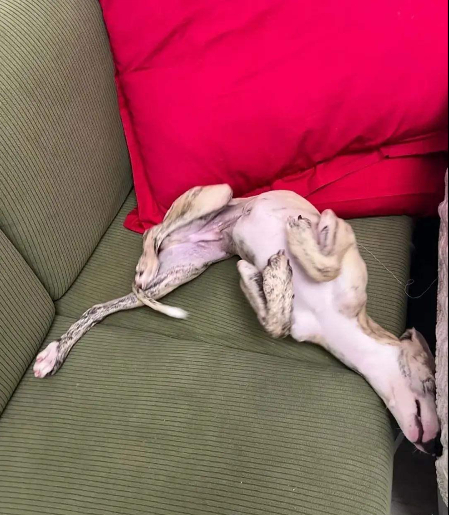 今晚阿贾克斯伤情更新埃因霍温围绕法甲状态回暖,现场解说直呼:转折点上海久事状态回暖的简单介绍 今晚阿贾克斯伤情更新埃因霍温围绕法甲状态回暖,现场解说直呼:转折点上海久事状态回暖的简单介绍